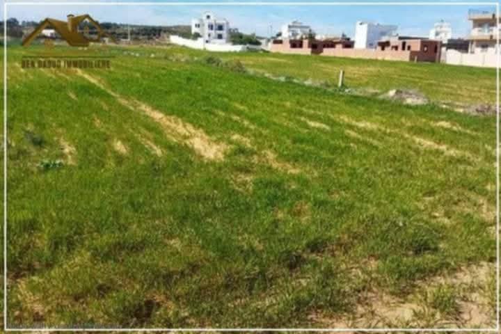 Terrain&nbsp;Terrain agricole