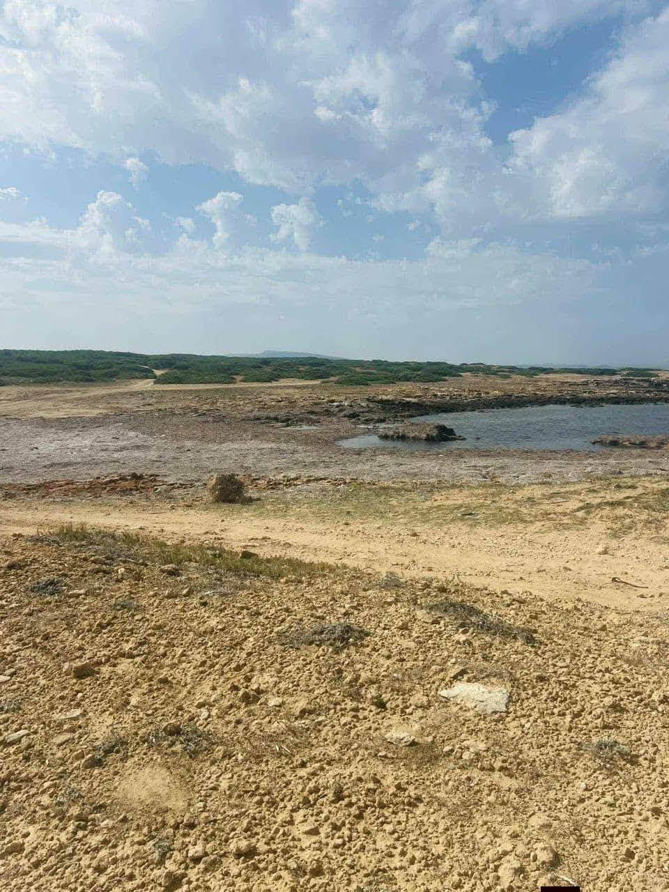 El Haouaria&nbsp;Sidi Daoud&nbsp;Terrain&nbsp;Terrain agricole&nbsp;Terrain sidi daoud