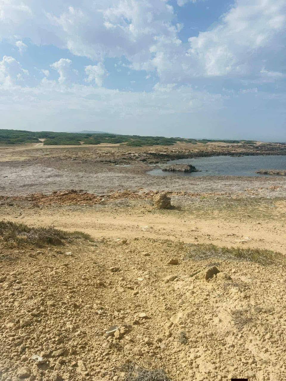 El Haouaria&nbsp;Sidi Daoud&nbsp;Terrain&nbsp;Terrain agricole&nbsp;Terrain sidi daoud