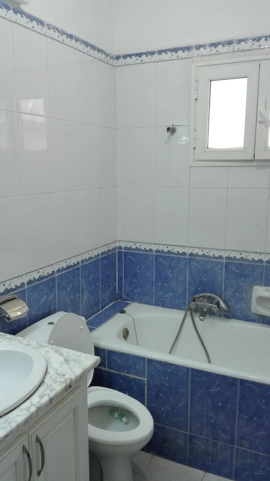 El Menzah&nbsp;El Manar 1&nbsp;Location&nbsp;Appart. 3 pi�ces&nbsp;S plus 2 meubl� � el manar 1 wb44