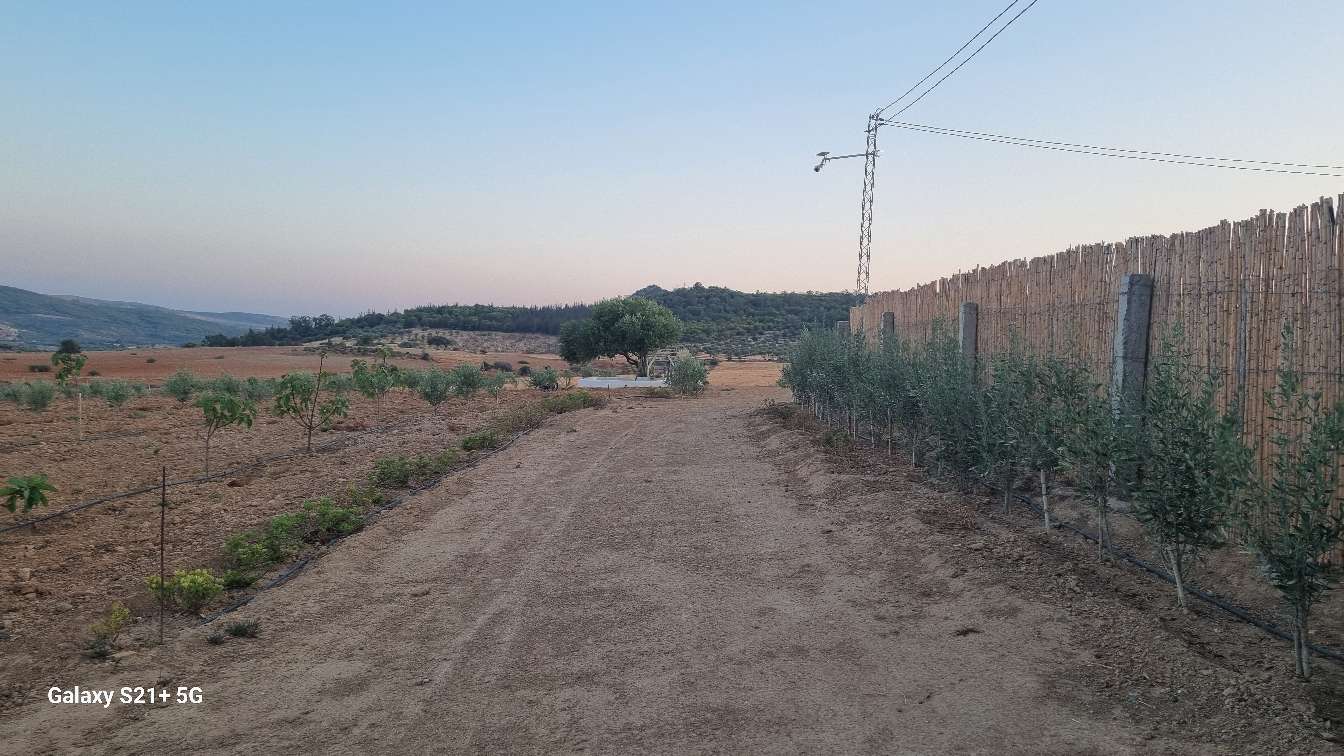 Testour&nbsp;Esslouguia&nbsp;Vente&nbsp;Autre&nbsp;Domaine ol�icole r�sidentiel