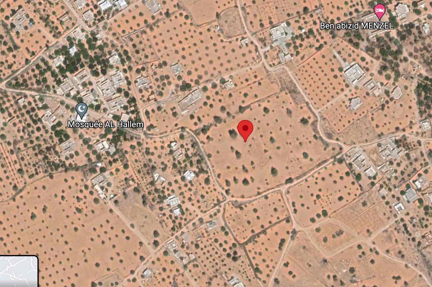 Djerba - Houmet Essouk&nbsp;Sedghiane&nbsp;Terrain&nbsp;Terrain agricole&nbsp;3 hectares a jerba