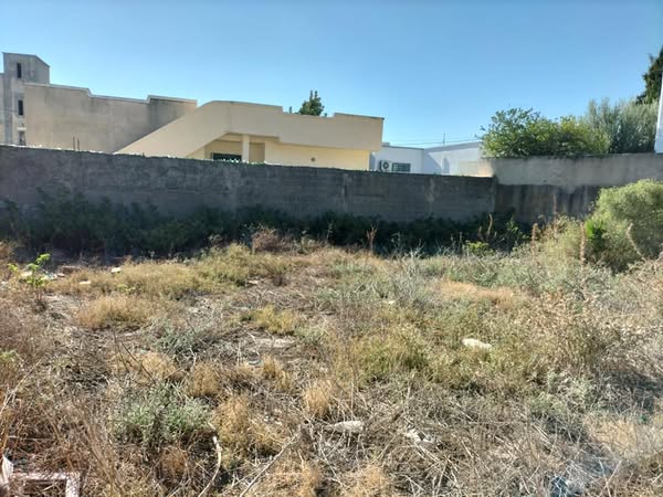 Raoued&nbsp;Cite Ennkhilet&nbsp;Terrain&nbsp;Terrain nu&nbsp;Terrain constructible cl�tur� fait le coin