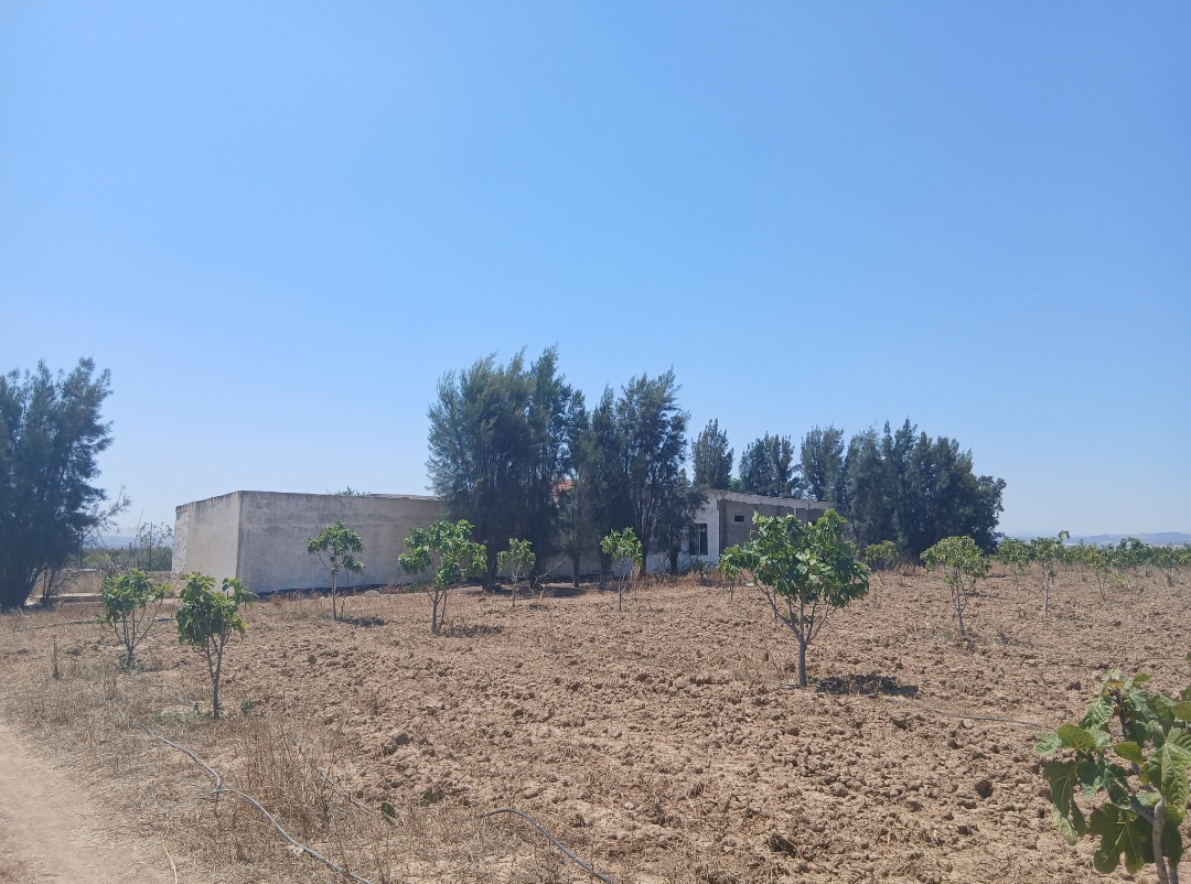 Terrain&nbsp;Terrain agricole