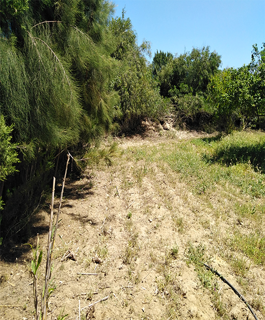 Terrain&nbsp;Terrain agricole