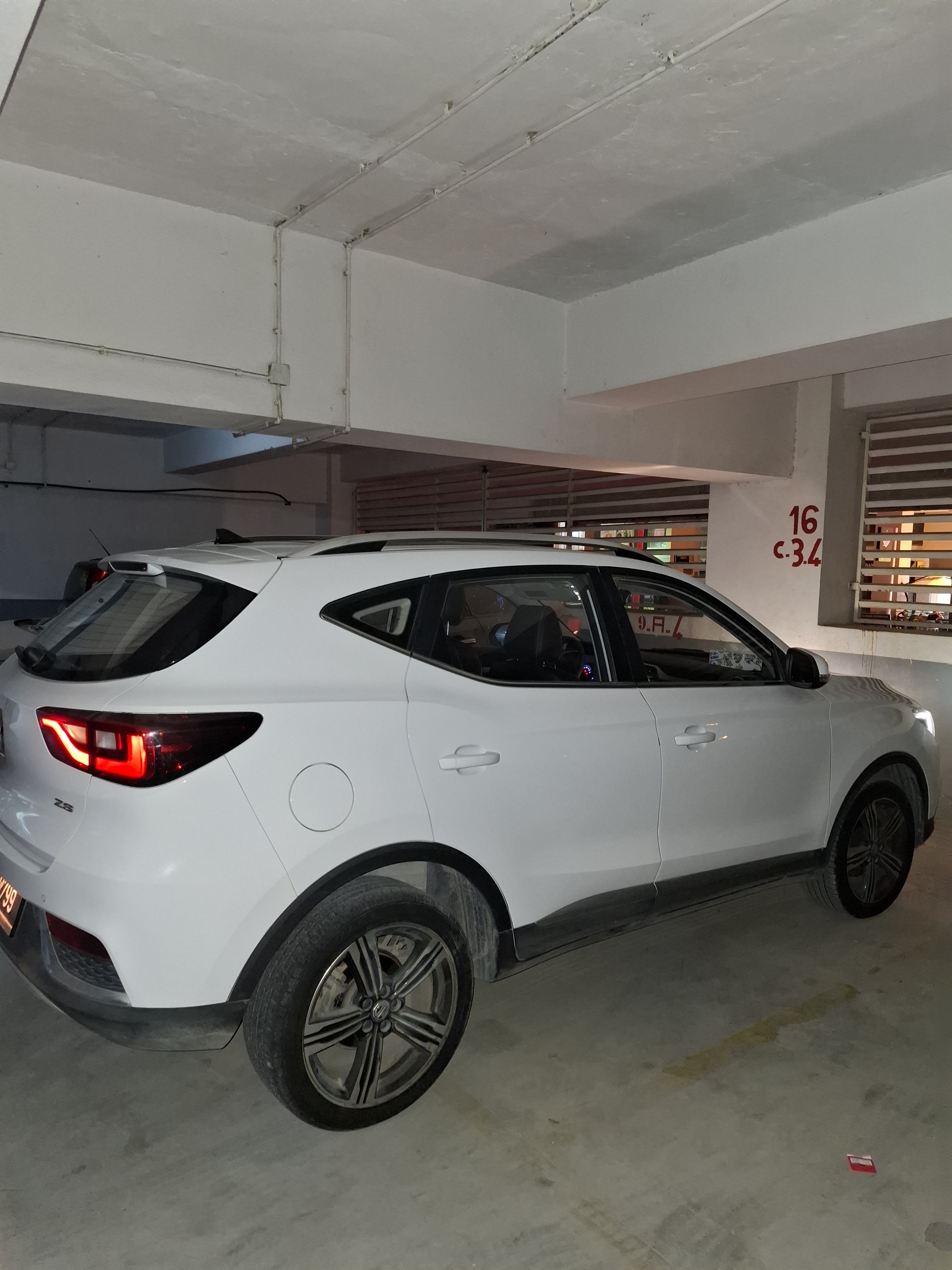 Mg&nbsp;ZS