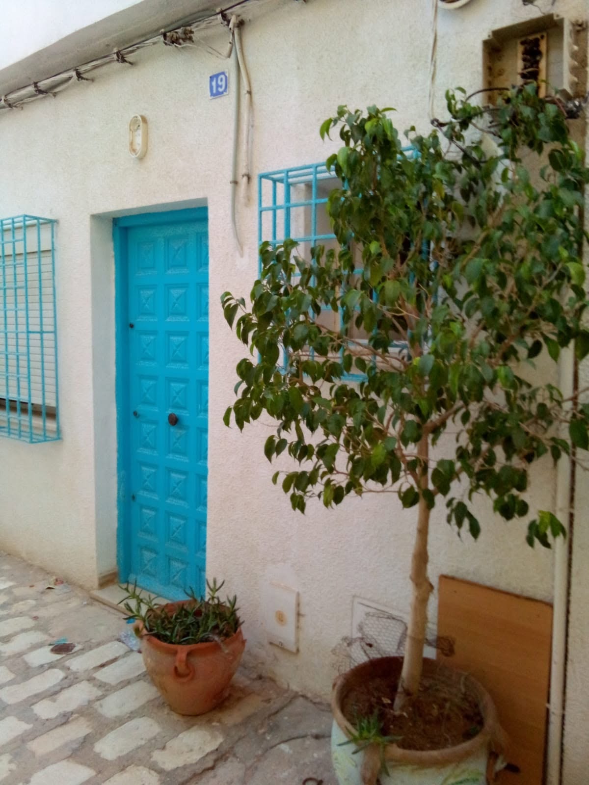 Ariana Ville&nbsp;Ariana&nbsp;Location&nbsp;Appart. 1 pi�ce&nbsp;Studio central independant