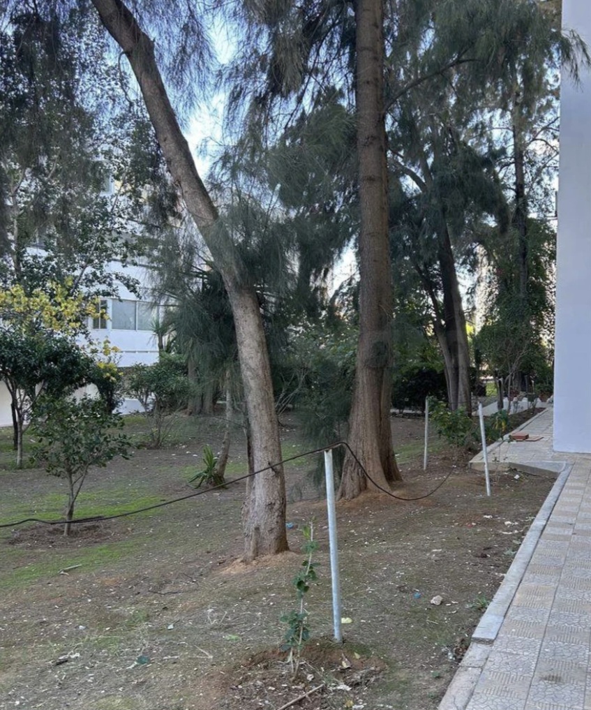 Location&nbsp;Appart. 5 pi�ces+