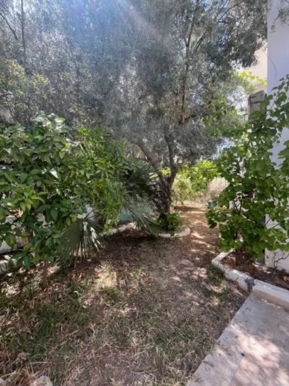 Location&nbsp;Appart. 5 pi�ces+