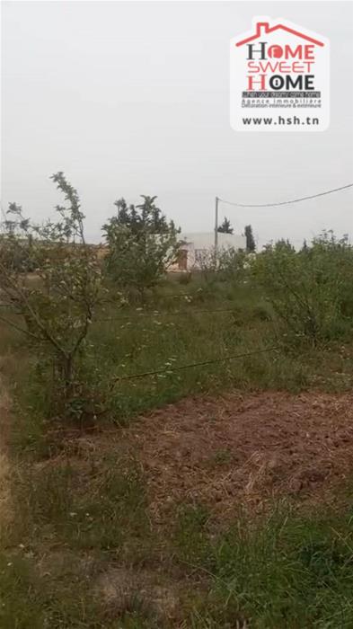 Goubellat&nbsp;Goubellat&nbsp;Terrain&nbsp;Terrain agricole&nbsp;Terrain agricole gerva � goubellat b�ja