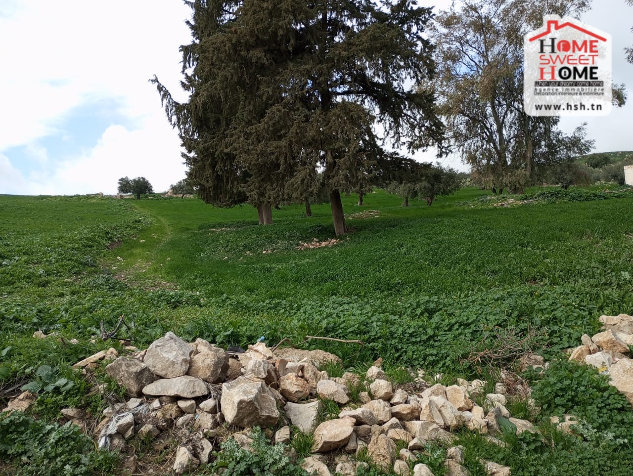 Beja Nord&nbsp;Beja&nbsp;Terrain&nbsp;Terrain agricole&nbsp;Terrain agricole zaya � dougga