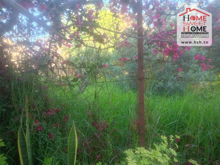 La Marsa&nbsp;Marsa Ennassim&nbsp;Terrain&nbsp;Terrain nu&nbsp;Terrain promoteur souka � la marsa stade