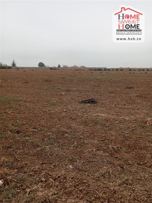 Mejez El Bab&nbsp;Mejez El Bab&nbsp;Terrain&nbsp;Terrain agricole&nbsp;Terrain agricole prestine mjez el beb