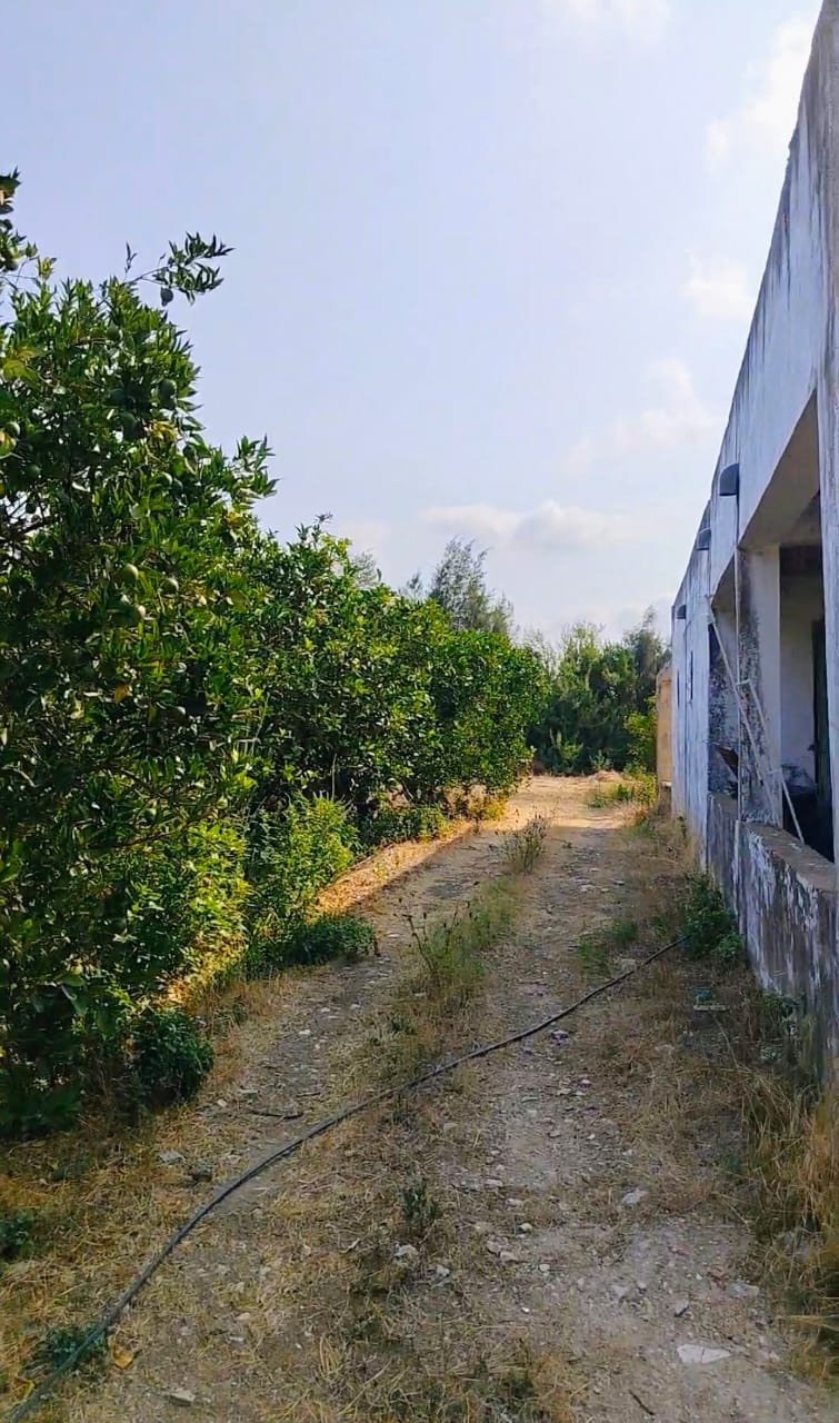 Terrain&nbsp;Terrain agricole