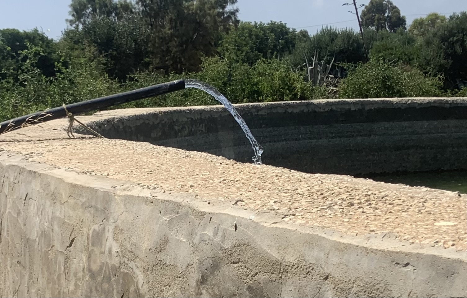 Korba&nbsp;Jebel Haddad&nbsp;Location&nbsp;Surfaces&nbsp;Terrain agricole 3 hectares avec puits et bassin