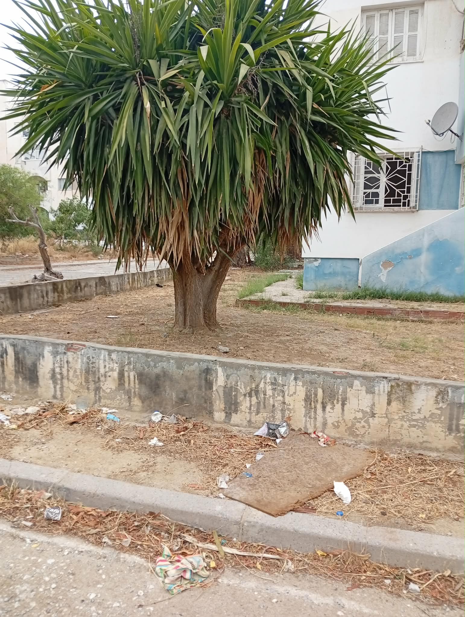 El Mourouj&nbsp;El Mourouj&nbsp;Location&nbsp;Appart. 3 pi�ces&nbsp;Appartement mourouj 1