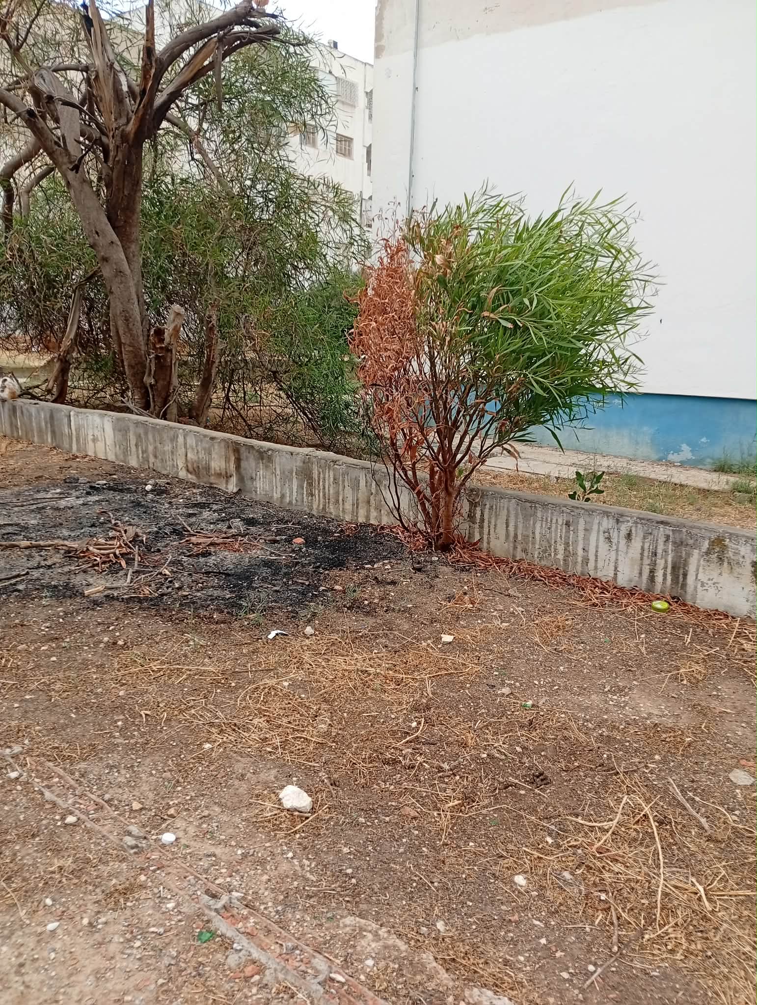 Location&nbsp;Appart. 3 pi�ces