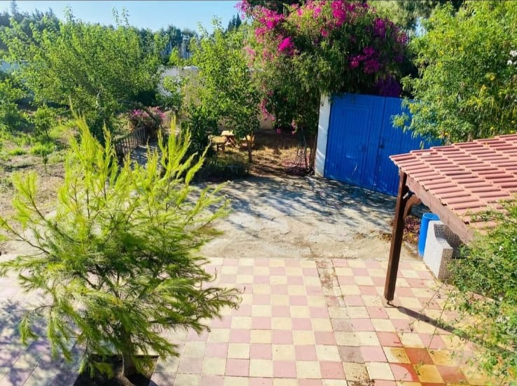 Soliman&nbsp;Soliman&nbsp;Terrain&nbsp;Terrain agricole&nbsp;Ferme direct du proprietaire