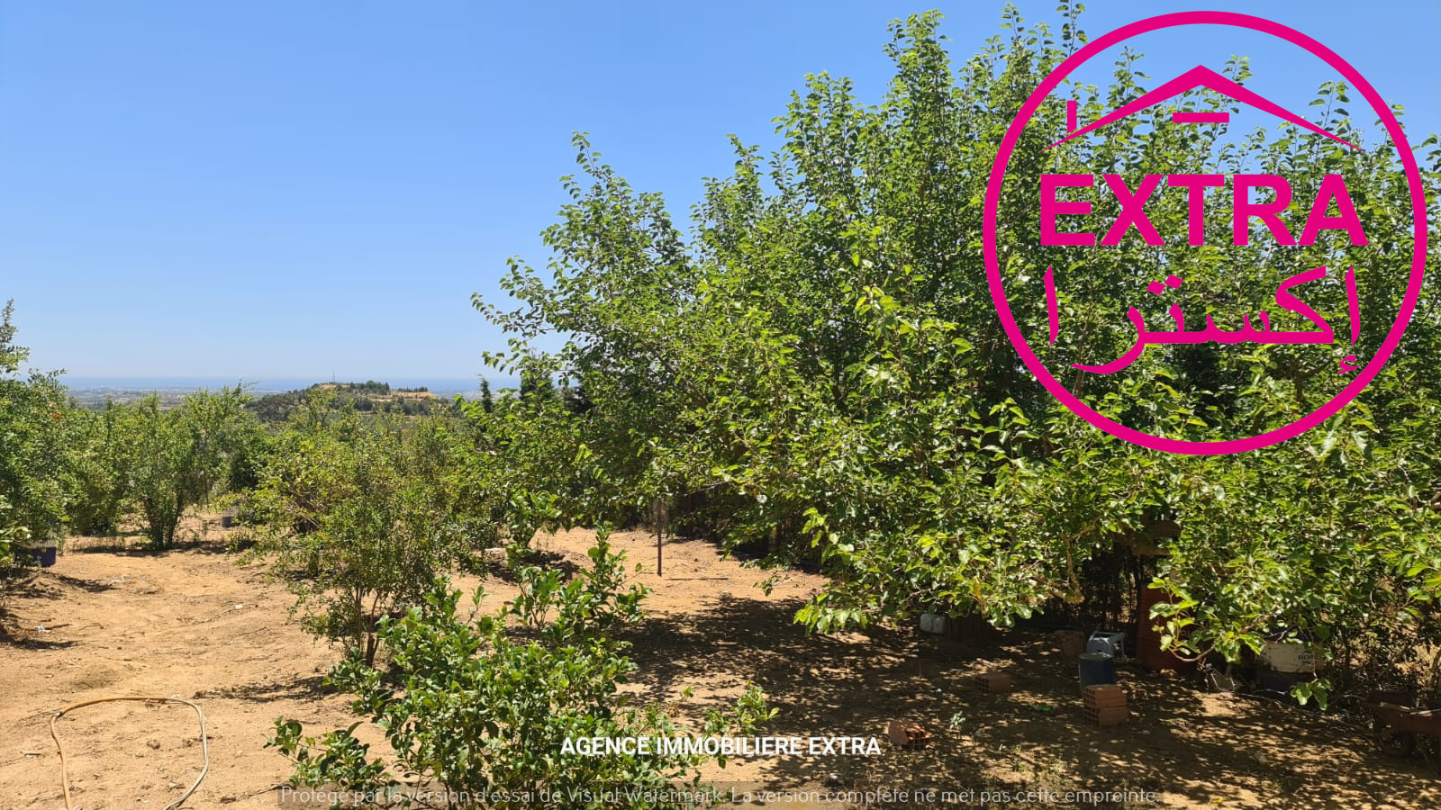 Nabeul&nbsp;Henchir El Haouaria&nbsp;Terrain&nbsp;Terrain agricole&nbsp;Campagne  a hwaria de nabeul