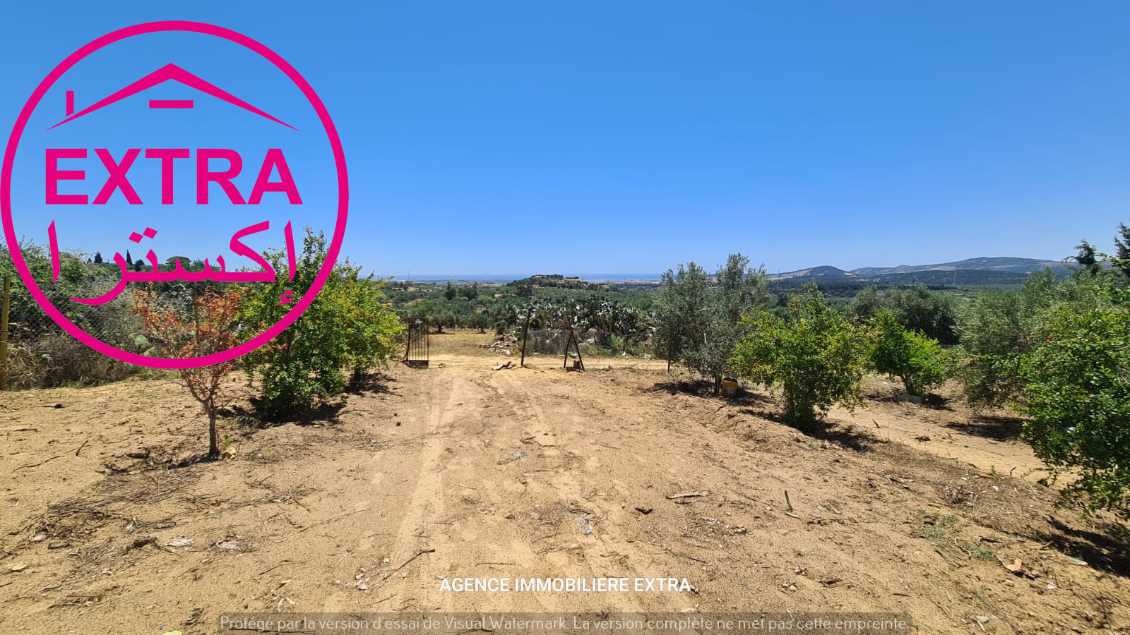 Terrain&nbsp;Terrain agricole