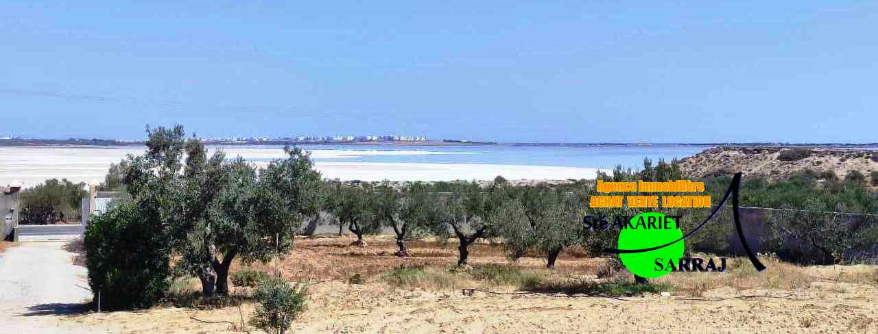 Akouda&nbsp;Chatt Meriem&nbsp;Terrain&nbsp;Terrain agricole&nbsp;Terrain clotur� 5050m sur route goudronn�e fokaia