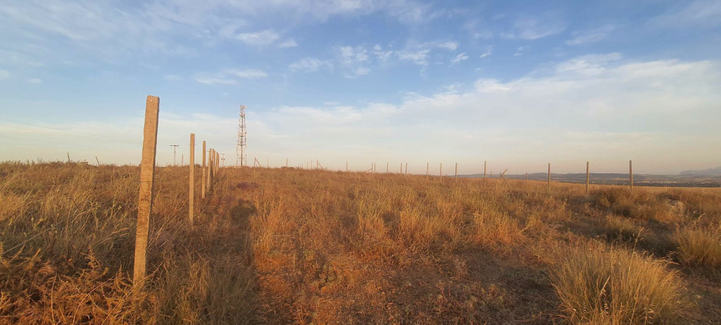 Mohamadia&nbsp;Mohamadia&nbsp;Terrain&nbsp;Terrain agricole&nbsp;Terrain agricole 100 m el mohamedia
