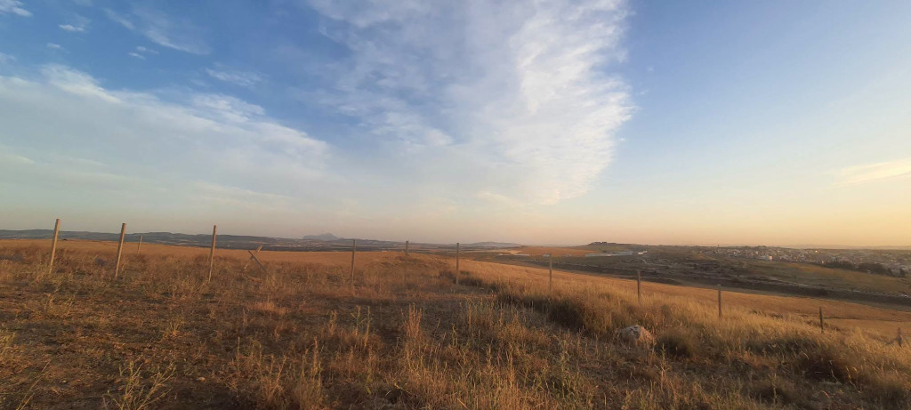 Mohamadia&nbsp;Mohamadia&nbsp;Terrain&nbsp;Terrain agricole&nbsp;Terrain agricole 100 m el mohamedia