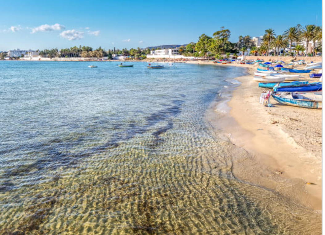Hammamet&nbsp;Hammamet&nbsp;Terrain&nbsp;Terrain nu&nbsp;Terrain pieds dans l eau