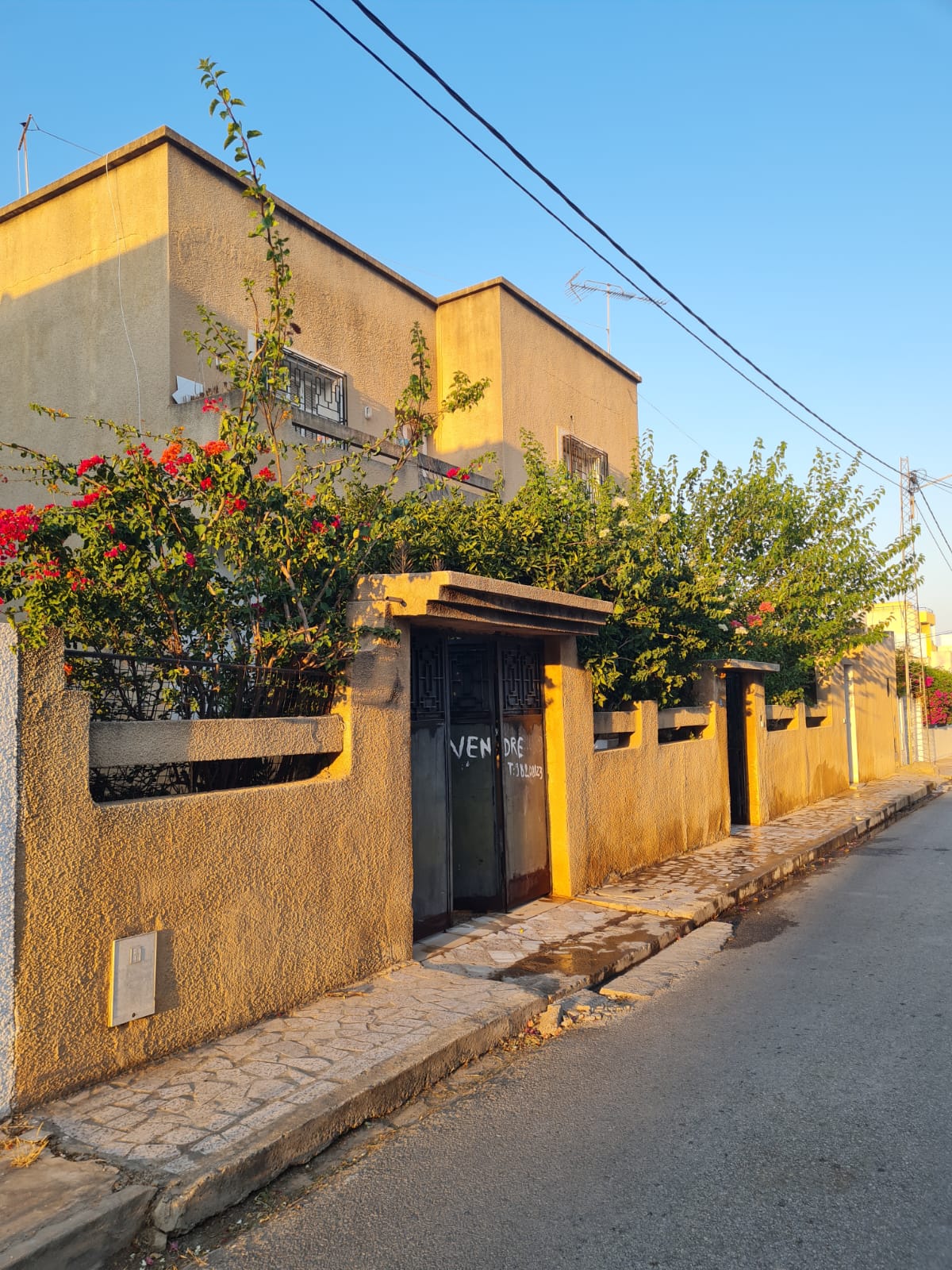 Mannouba&nbsp;La Mannouba&nbsp;Vente&nbsp;Maisons&nbsp;Villa et 2 studio s1  cartier tr�s priv� et pris�