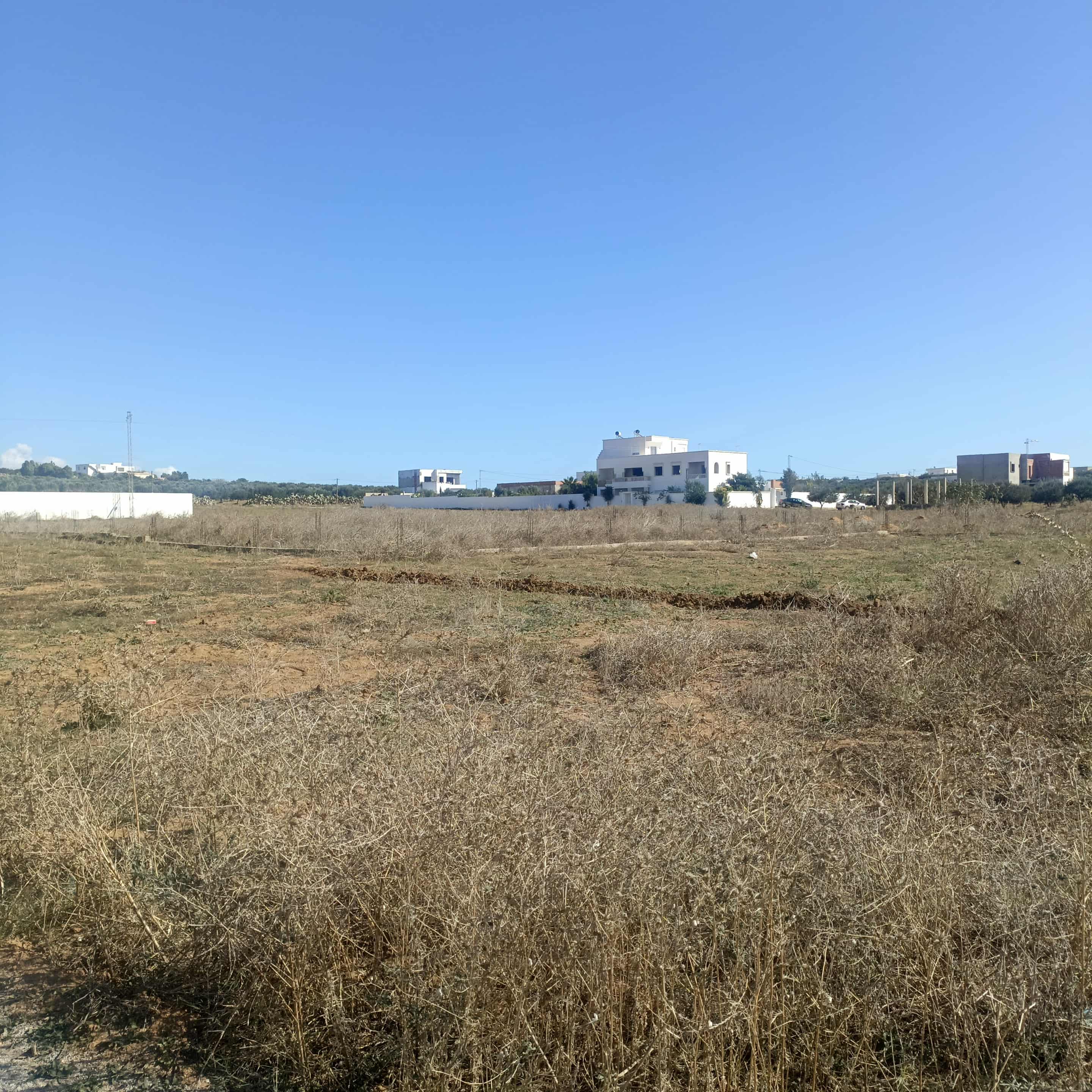 Hammamet&nbsp;Hammamet&nbsp;Terrain&nbsp;Terrain nu&nbsp;Av 340m � hammamet sud