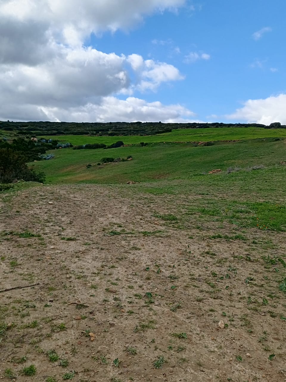Terrain&nbsp;Terrain agricole