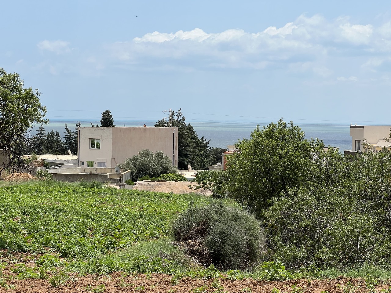 Ghar El Melh&nbsp;Ghar El Melh&nbsp;Terrain&nbsp;Terrain nu&nbsp;Terrain d'exception 1645 m2 ghar el melh