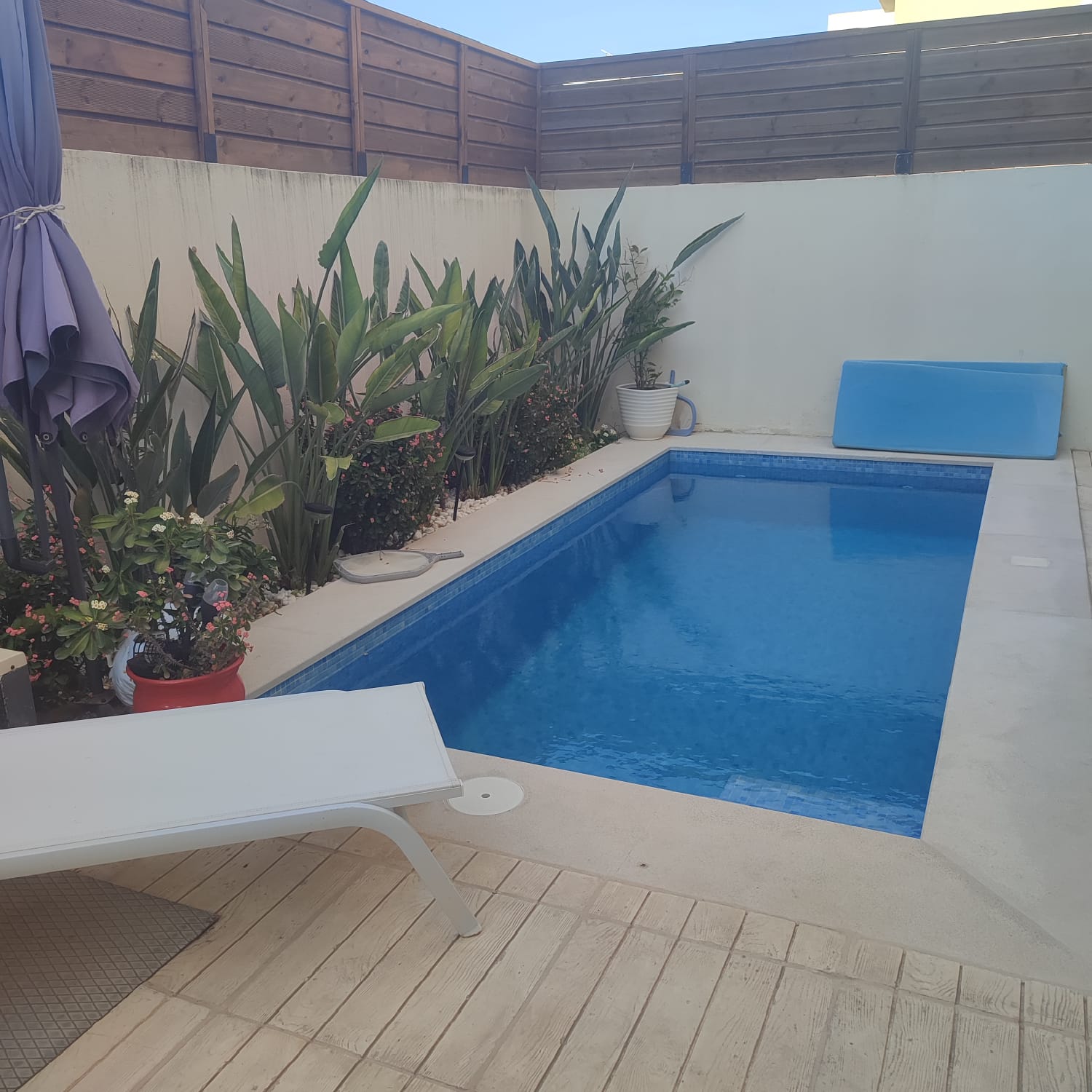 La Marsa&nbsp;Cite Du Stade&nbsp;Location&nbsp;Appart. 3 pi�ces&nbsp;S2 avec piscine � la marsa