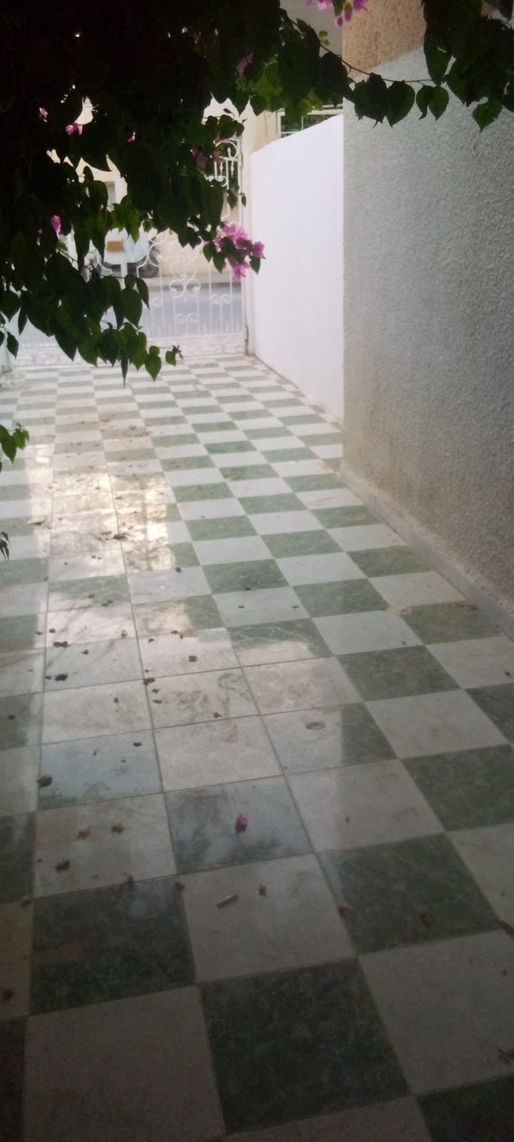 Location&nbsp;Appart. 1 pi�ce