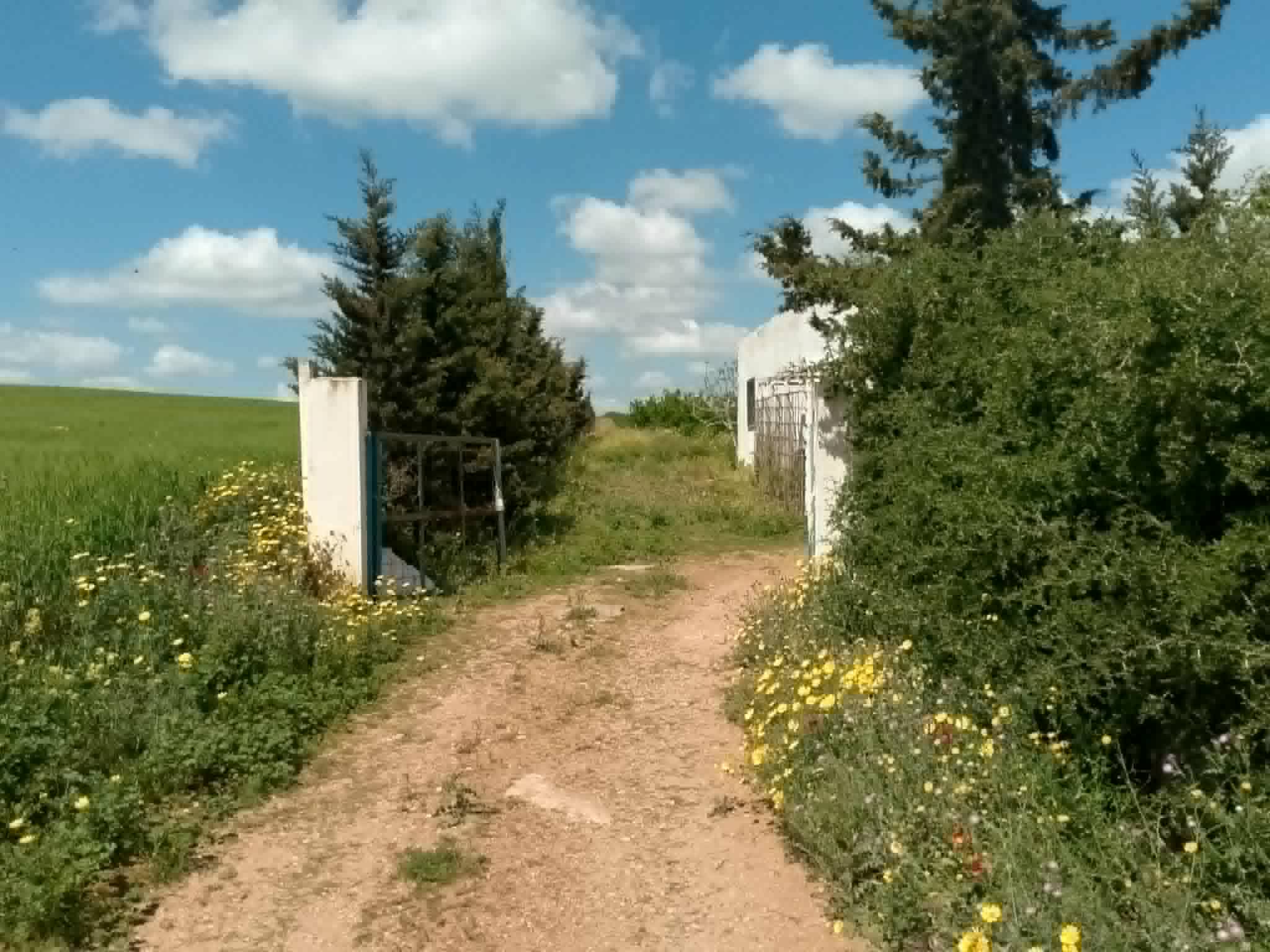 Jedaida&nbsp;Chaouat&nbsp;Terrain&nbsp;Terrain agricole&nbsp;Ferme  � chaouat jedeida la manouba