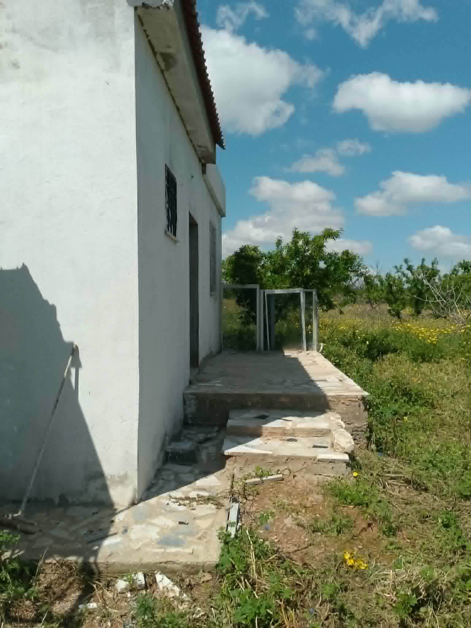 Jedaida&nbsp;Chaouat&nbsp;Terrain&nbsp;Terrain agricole&nbsp;Ferme  � chaouat jedeida la manouba