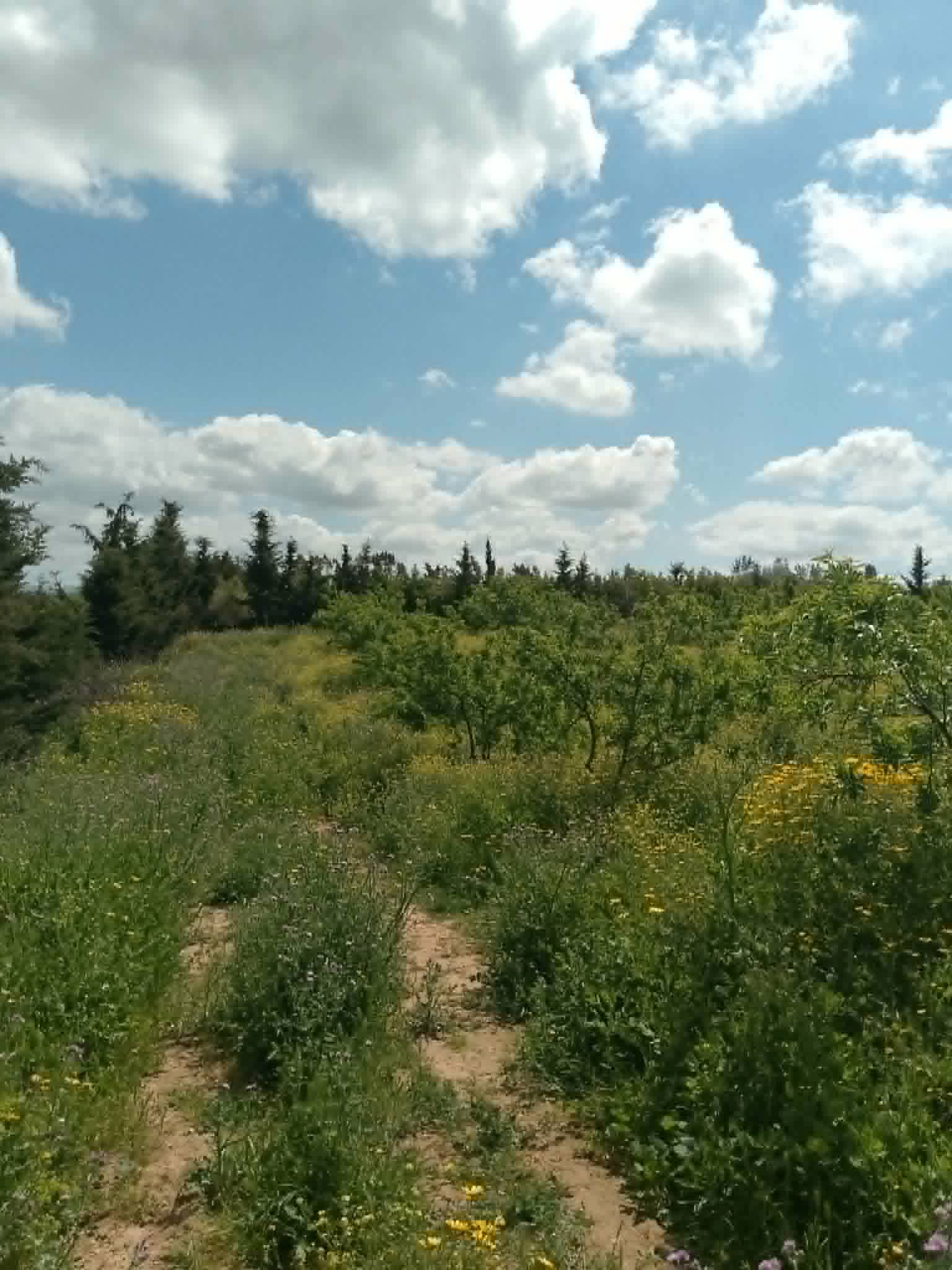Terrain&nbsp;Terrain agricole
