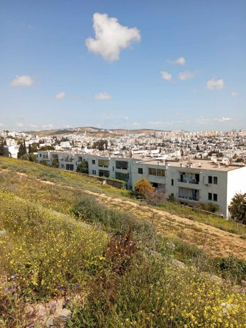 El Menzah&nbsp;El Manar 2&nbsp;Terrain&nbsp;Terrain agricole&nbsp;Terrain exceptionnel