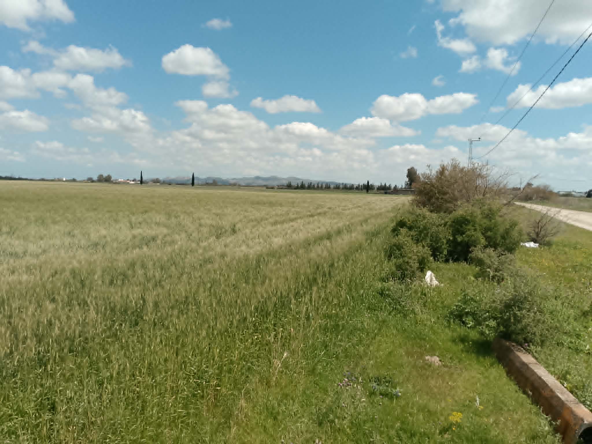 Jedaida&nbsp;Chaouat&nbsp;Terrain&nbsp;Terrain agricole&nbsp;Terrain � chaouat  manouba