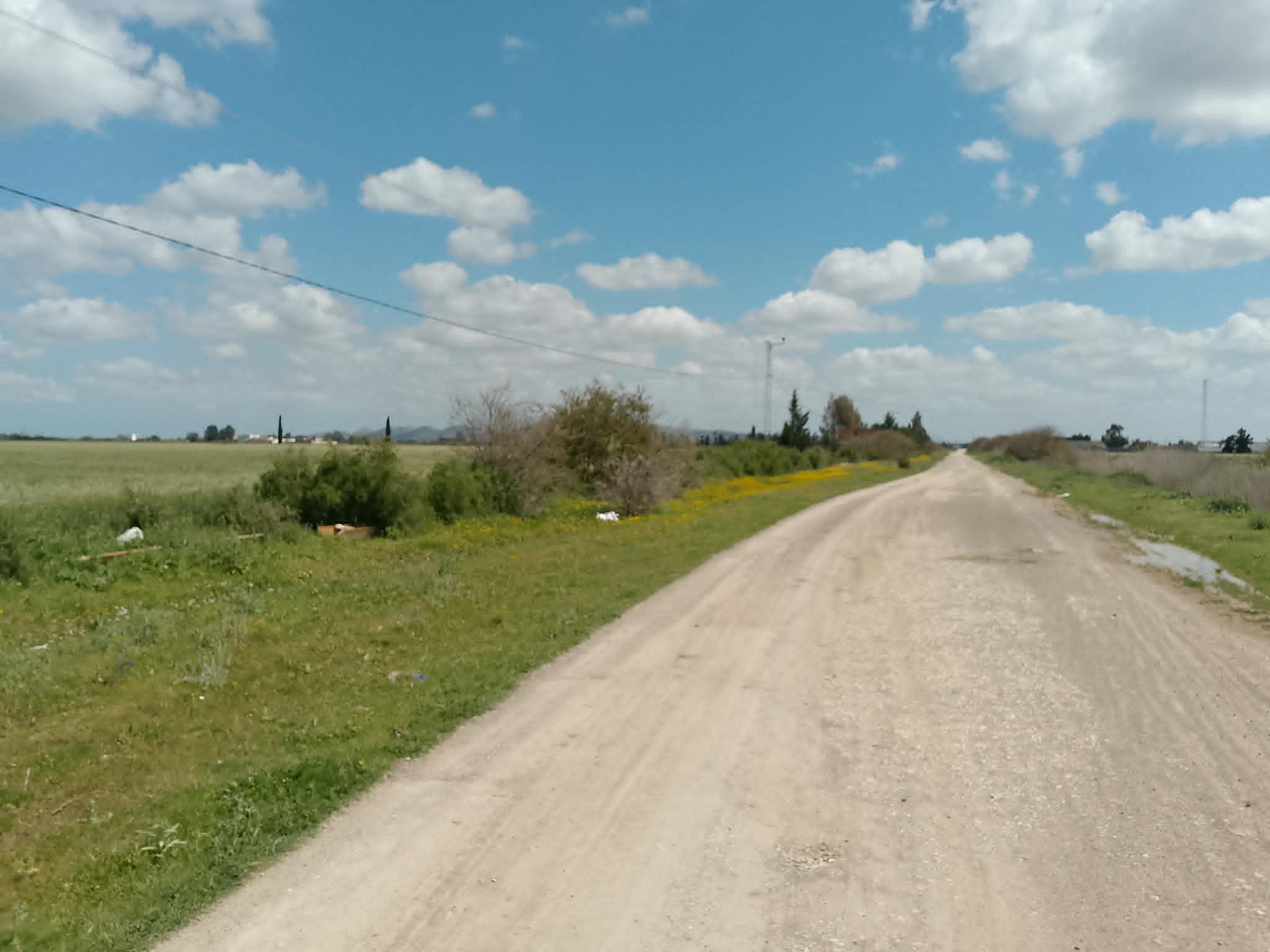 Terrain&nbsp;Terrain agricole