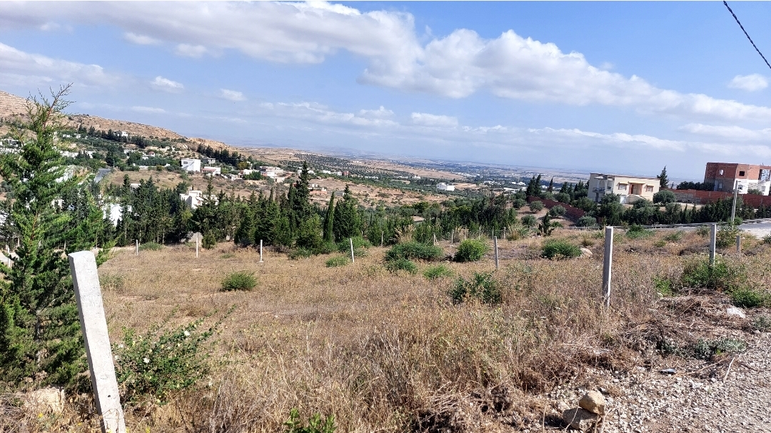 Sidi Thabet&nbsp;Jabbes&nbsp;Terrain&nbsp;Terrain nu&nbsp;Terrain 1000m jabbes