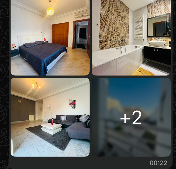 La Marsa&nbsp;Berge Du Lac&nbsp;Location&nbsp;Appart. 2 pi�ces&nbsp;Appartement meubl�