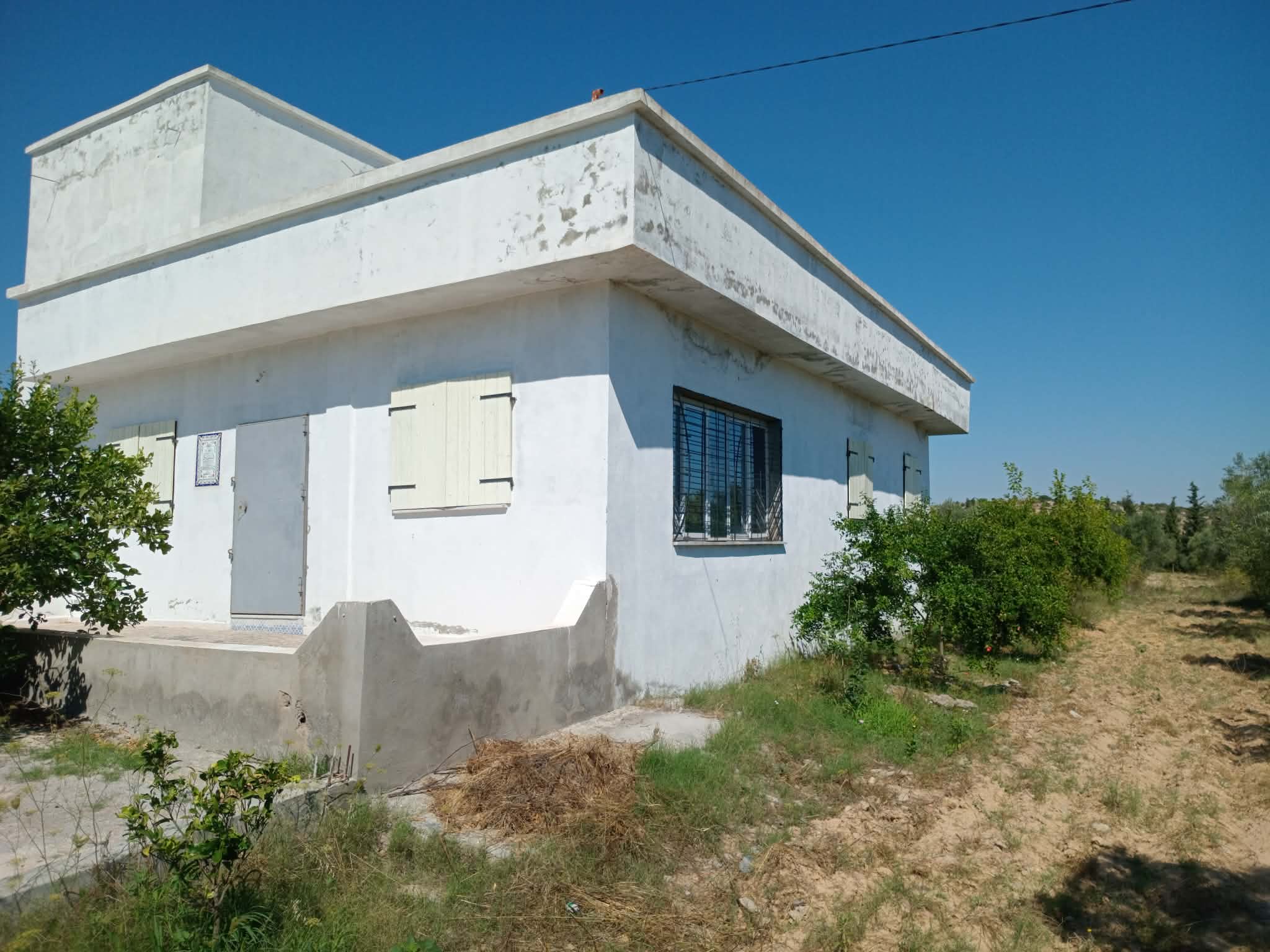 Hammam Zriba&nbsp;Bou Achir&nbsp;Terrain&nbsp;Terrain agricole&nbsp;Bonne occasion