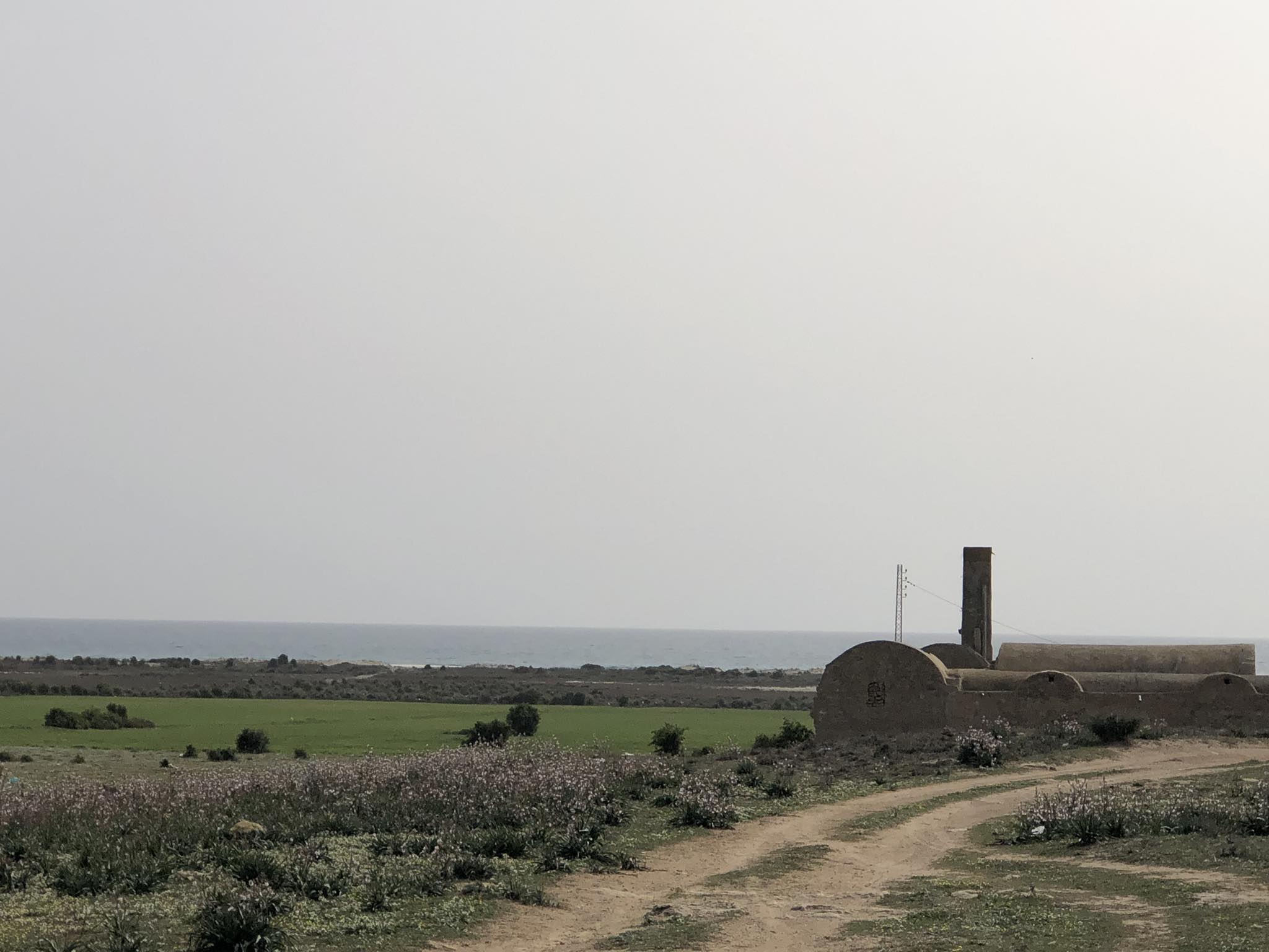 Menzel Temime&nbsp;Lebna&nbsp;Terrain&nbsp;Terrain nu&nbsp;Lots de terrains lebna plage