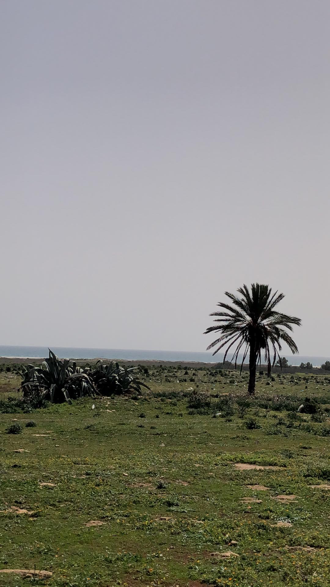 Terrain&nbsp;Terrain nu