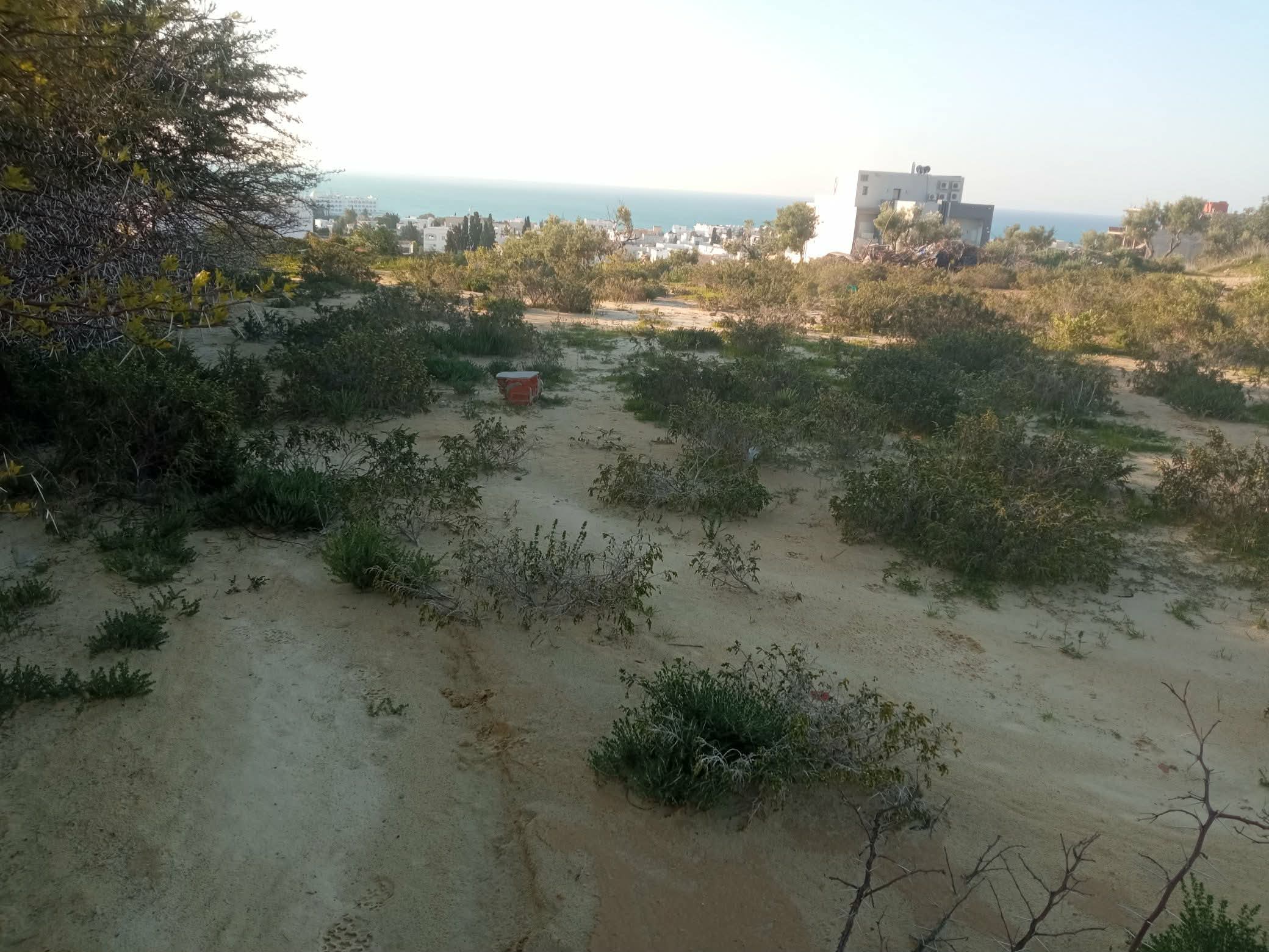 Hammamet&nbsp;Cite Erriadh&nbsp;Terrain&nbsp;Terrain nu&nbsp;Terrain � b�tir