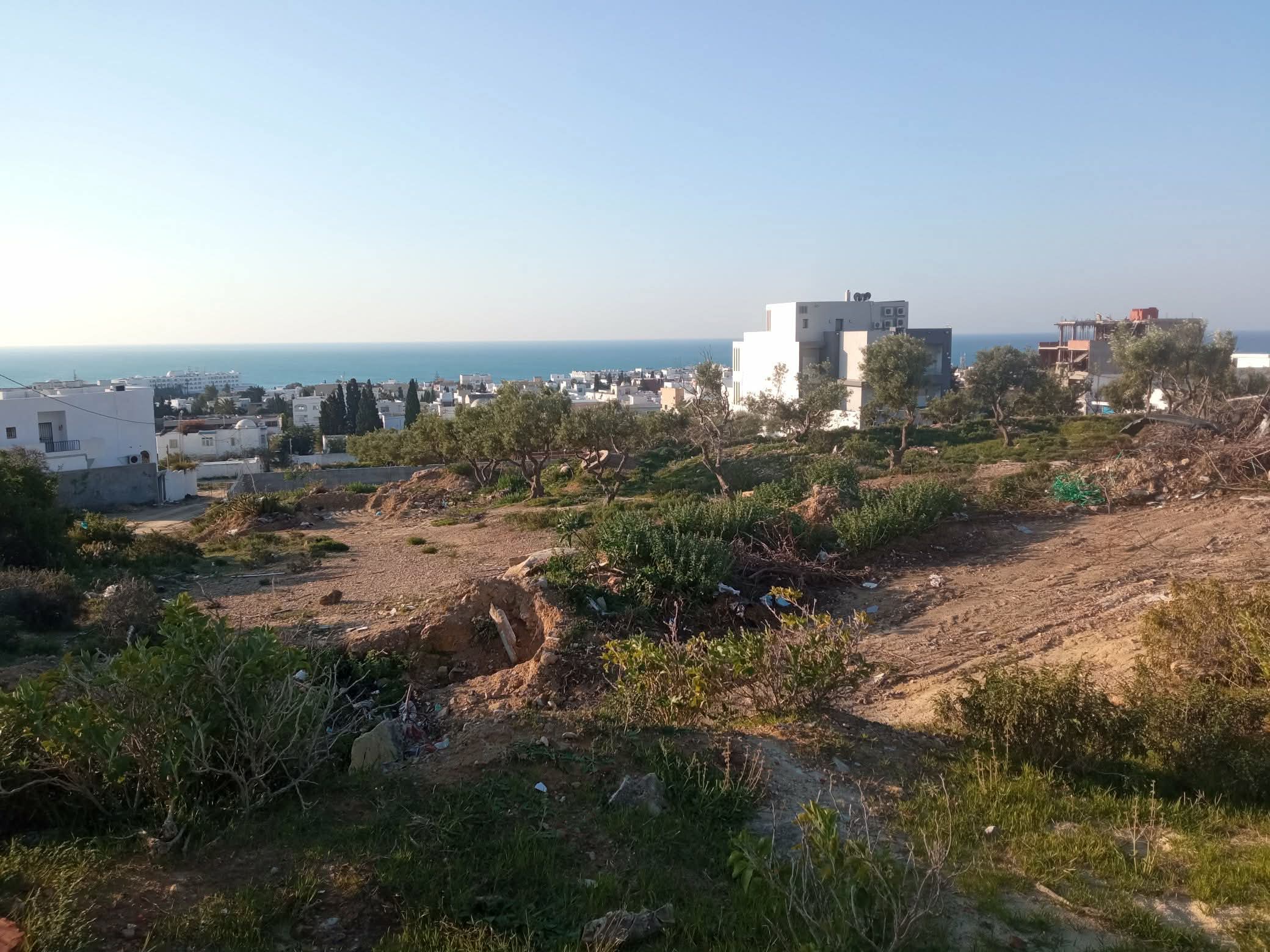 Hammamet&nbsp;Cite Erriadh&nbsp;Terrain&nbsp;Terrain nu&nbsp;Terrain � b�tir