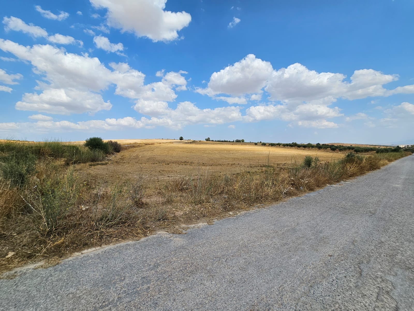 Bir Mcherga&nbsp;Ain El Asker&nbsp;Terrain&nbsp;Terrain agricole&nbsp;Terrain nu � 40 km du centre ville