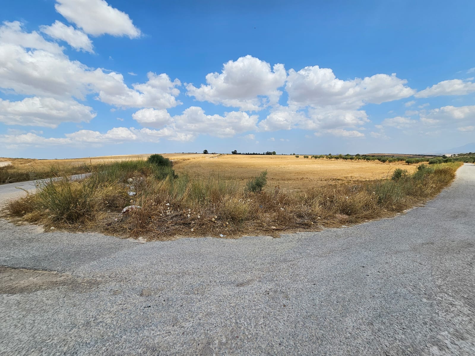 Terrain&nbsp;Terrain agricole