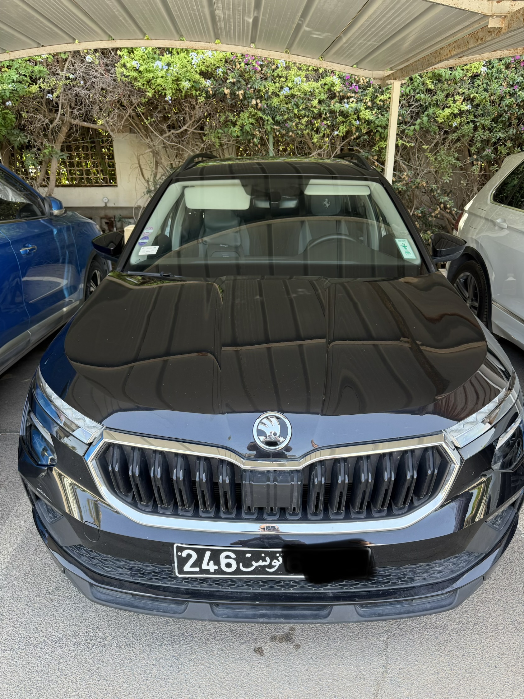 Skoda&nbsp;Autre Mod�le